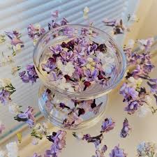 Image result for Fadogia ancylantha