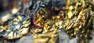 Maybe you would like to learn more about one of these? Falcon Gold Corp Discovers A New High Grade Gold Vein At Its Central Canada Gold Mine Project In Ontario
