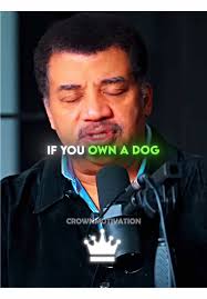 Por qué tu perro te ama