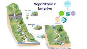 Watch all of l_umore's best archives, vods, and highlights on twitch. Veprimtarie E Lumenjve By Juna Bizhga