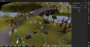 To trade in the shards for daeyalt essence, vyre noble clothing needs to be worn. 1 5 19 Release Runelite