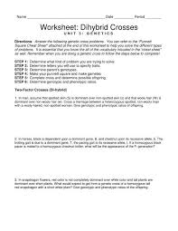 A homozygous dominant brown mouse is crossed with a heterozygous brown mouse tan is the. Worksheet Dihybrid Crosses Triton Science