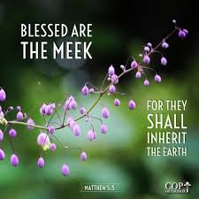 Job, a man who seemingly had it all, was reduced to poverty and loss of every type. Why Did Jesus Say Blessed Are The Meek Kdmanestreet