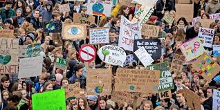Fridays For Future Studie Sie Sind Jung Und Wollen Was Andern