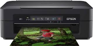 For all other products, epson's network of independent specialists offer authorised repair services, demonstrate our latest products and stock a. Epson Expression Home Xp 255 C11ch17403 Amazon Co Uk Business Industry Science