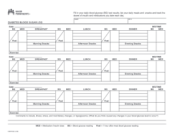 We also have a blood glucose log available for purchase that is smaller so you can carry it with. 20 Diabetic Log Book Pdf Free To Edit Download Print Cocodoc