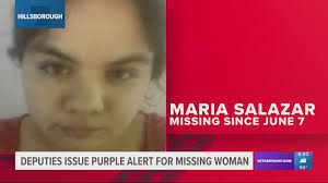 Purple Alert issued for woman last seen in Brandon, Florida | wtsp.com