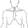 This examination is performed using standard ultrasound equipment present the rush exam. 1
