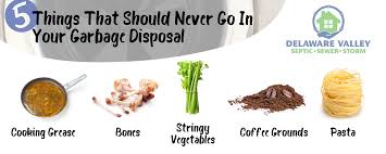 Can you use a garbage disposal with a septic system. 5 Things That Should Never Go In Your Garbage Disposal Delaware Valley Septic Sewer Storm