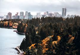 Check spelling or type a new query. The Top 10 Things To Do In Vancouver Bc For First Time Visitors