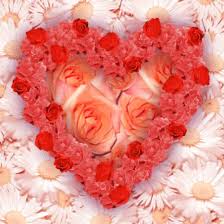 It was named by carl linnaeus, who first described this genus in his genera plantarum, which appeared in 1737. Flowers In My Heart Quotes Quotesgram