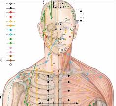 Body Acupuncture Chart Vr1820