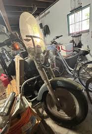 Image result for Aqua Pearl 1994 FLSTF