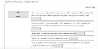 Solved Jamal Drew A Flow Chart To Show How The Carbon In