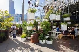 Le Pamphlet The Immersery Un Jardin De Pluie Suspendu A Melbourne Paysagiste Agriculture Urbaine Design D Amenagement Paysager