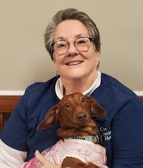 Experienced Veterinarians