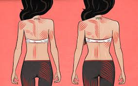 Trouble is, few know exactly what that means. The Best Muscle Building Exercises For Women Bony To Bombshell