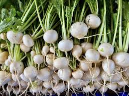As a member of the cucurbitaceae family, experts recommend the popular zucchini vegetable because it is relatively easy. How To Grow Turnips From Scraps Vegetable Gardenerx