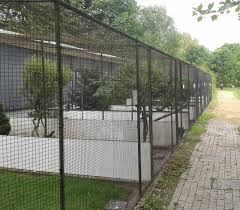 Bird Aviary For Sale Gauteng Netherlands Fazanterie De Rooie Hoeve Bird Aviary Backyard Chicken Coop Plans Chickens Backyard