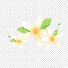 Gambar bunga kartun yang banyak desa dawuhan wetan. Kelopak Putih Desain Dekorasi Bunga Kuning Kartun Bunga Png Pngegg