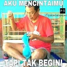 Cara buat tulisan keluar dari grup wa. Lucu Banget Perang Gambar Kocak Gambar2 Perang Gambar Kocak Atau Meme Paling 39 Perang Gambar Kocak Bahasa Jawa Http Www Koffers Lucu Gambar Lucu Meme Lucu