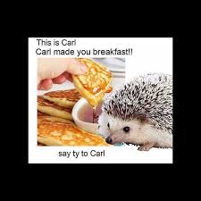 Taken as png with msi afterburner using native game graphics settings. This Is Carl Hedgehog Meme Peepsburgh