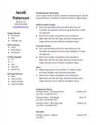 2 Column Functional Skills Based Resume Template
