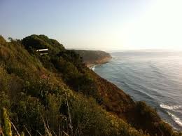 Aireys Inlet Cliff Top Walk Rock Pools Walking Inlet