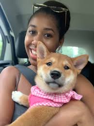 Hi friends, I'm new here and I'd like to introduce myself to you a  bit.🤗I'm 14 week old Shiba inu doggo,named Luca. I love my mistress, I'm  such a pet😇… I'm usually