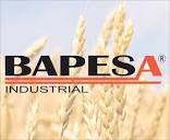 Bapesa Industrial added a new photo. - Bapesa Industrial