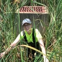 Jared Bartley Email & Phone Number