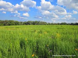 Photo Linne Woods Prairie Prairie Photo Linne