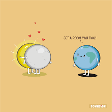 Solar Eclipse 2017 Funny Illustration Funny Doodles Funny Drawings