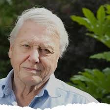 Stream Evan Kelley music