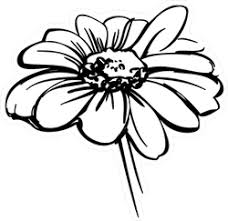 Black And White Daisy Transparent Background Flower Clipart Daisy Flower Car Stickers Decals Over 3 Dozen Designs Wildflower Drawing Daisy Drawing Flower Sketch Images