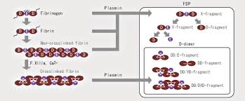 Definition fibrin degradation products (fdps) are the substances left behind when clots dissolve in the blood. What S Fdp Nanopia P Fdp Blood Coagulation Diagnostics Business Sekisui Medical Co Ltd