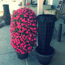 Pin On Diy Flower Projects