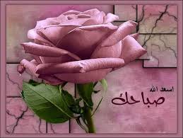 Check spelling or type a new query. ØµÙˆØ± ÙˆØ±Ø¯ ØµØ¨Ø§Ø­ Ø§Ù„Ø®ÙŠØ± ØµÙˆØ± ÙˆØ±Ø¯ Ù…ÙƒØªÙˆØ¨ Ø¹Ù„ÙŠÙ‡Ø§ ØµØ¨Ø§Ø­ Ø§Ù„ÙˆØ±Ø¯ ÙˆØ§Ù„Ø®ÙŠØ± ÙˆØ§Ù„ÙŠØ§Ø³Ù…ÙŠÙ† ÙˆØ§Ù„ÙÙ„