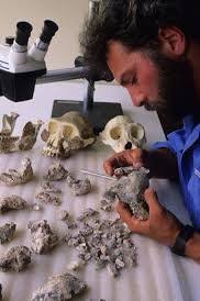 Laura Reynes (@lauradrives)