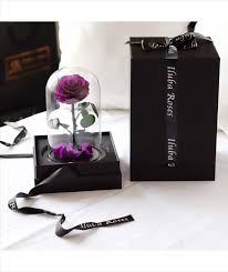 فازة ورد ايلوبا روزز طبيعي دائم يعيش لمدة سنة rose ted baker icon bag tote bag