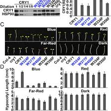 Tonic triads are simple chords with just three notes in them. The Trp Triad Mutants Of Cry1 Are Physiologically Active In Mediating Download Scientific Diagram