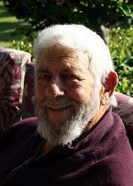 Domenic Rizzi Obituary