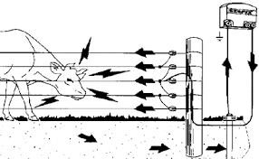 Now that you have a plan for troubleshooting an electric fence, we'd be interested to know the problems you've experienced with your fence and fence equipment. Watch Electric Fences Don T Mean You Re Safe In South Africa Video