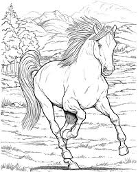 Alice va à la plage ». Welcome To Dover Publications Coloriage Cheval Coloriage Cheval A Imprimer Coloriage
