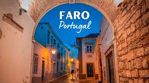 Image result for Faroa duvigneaud