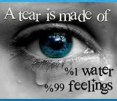 All I Want To Do Right Now Crying Eyes Eyes Wallpaper Things Under A Microscope