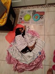 Lost Dogs/Pets of Trinidad and Tobago