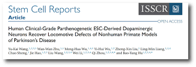 We did not find results for: The Chinese Stem Cell Trial The Science Of Parkinson S