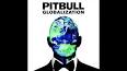 ‫Video for دانلود موزیک ویدیو Options با صدای Pitbull و Stephen Marley‬‎