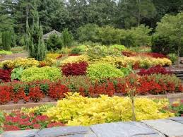 Pin On Gardens